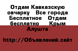 Отдам Кавказскую овчарку - Все города Бесплатное » Отдам бесплатно   . Крым,Алушта